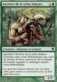 Anctre de la tribu Sakura - 