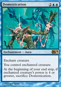Domestication - Magic 2014