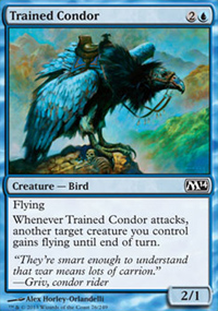 Trained Condor - Magic 2014