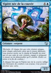 Vipère née de la couvée - 