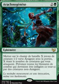 Arachnogénèse - 