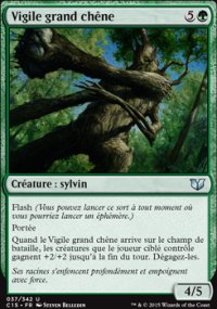 Vigile grand chêne - 