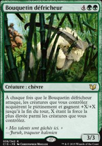Bouquetin défricheur - 