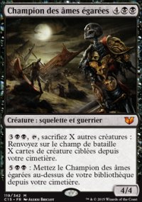 Champion des âmes égarées - 
