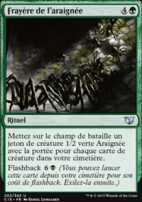 Frayère de l'araignée - 