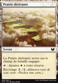 Prairie dérivante - 