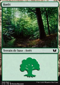 Forêt - 