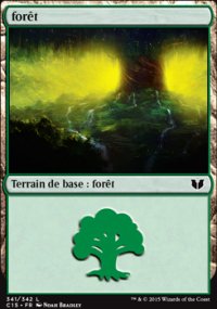 Forêt - 