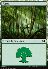 Forêt - 