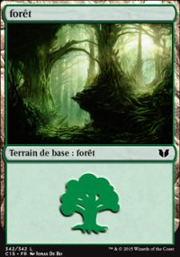 Forêt - 