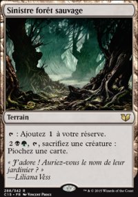 Sinistre forêt sauvage - 