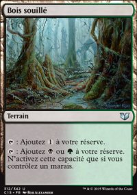 Bois souillé - 