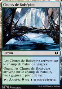 Chutes de Boisépine - 