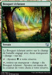 Bosquet éclatant - 