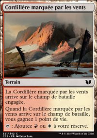 Cordillère marquée par les vents - 