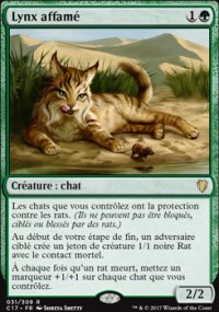 Lynx affam - 
