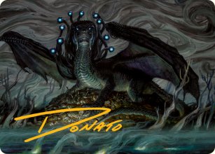 Jeune oculus - Illustration - 