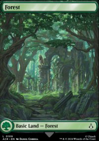 Forest 1 - Assassins Creed