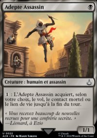 Adepte Assassin - Assassins Creed