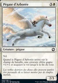 Pgase d'Arbore - 