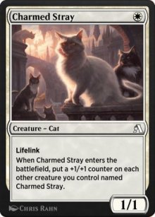 Chat de gouttière enchanté - Arena Beginner Set