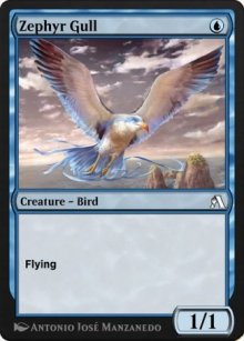 Goéland du zéphyr - Arena Beginner Set