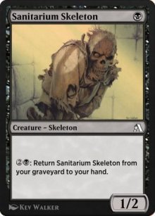 Squelette interné - Arena Beginner Set