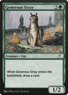 Chat de gouttière généreux - Arena Beginner Set