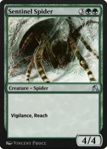 Araignée sentinelle - Arena Beginner Set