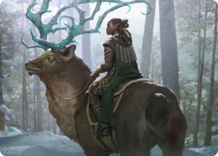 Cavalière boréale - Illustration - 