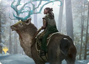 Cavalière boréale - Illustration - 