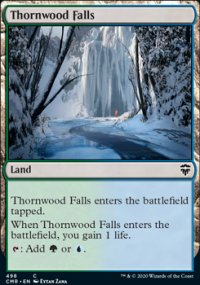 Thornwood Falls - 