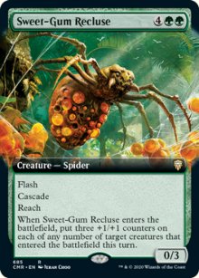 Sweet-Gum Recluse - 