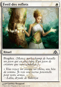 Éveil des reflets - 