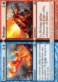 Transformation / Brûlage<br>Transformation / Brûlage - 