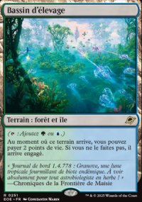 Bassin d'levage - Edge of Eternities