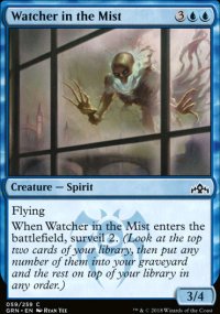 Watcher in the Mist - 