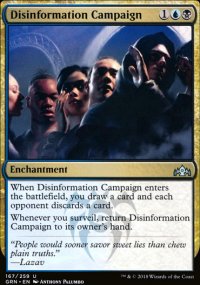 Disinformation Campaign - 
