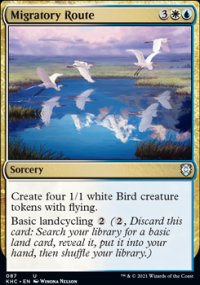 Migratory Route - 