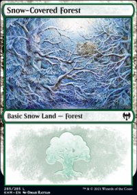 Snow-Covered Forest 2 - Kaldheim
