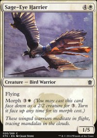 Sage-Eye Harrier - Khans of Tarkir