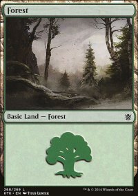 Forest - Khans of Tarkir