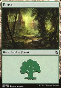 Forest - Khans of Tarkir