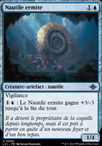 Nautile ermite - 