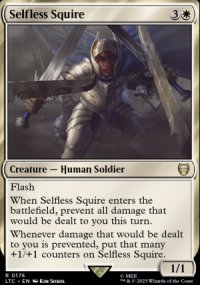 Selfless Squire - 