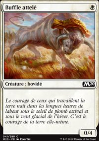 Buffle attelé - 