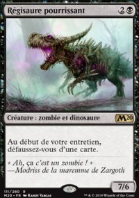 Régisaure pourrissant - 