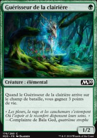 Guérisseur de la clairière - 