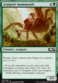Araignée mammouth - 
