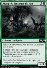 Araignée lanceuse de rets - 